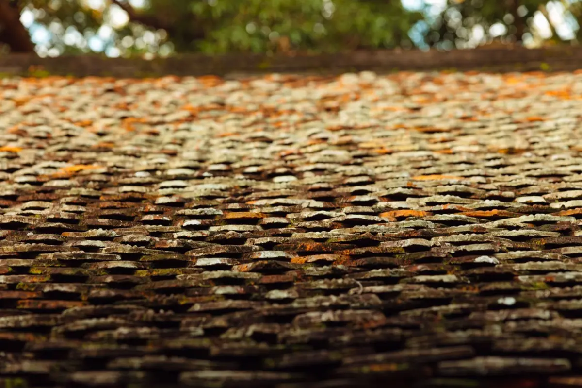 Roof Leak Repair in San Mateo, CA